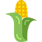 Corn